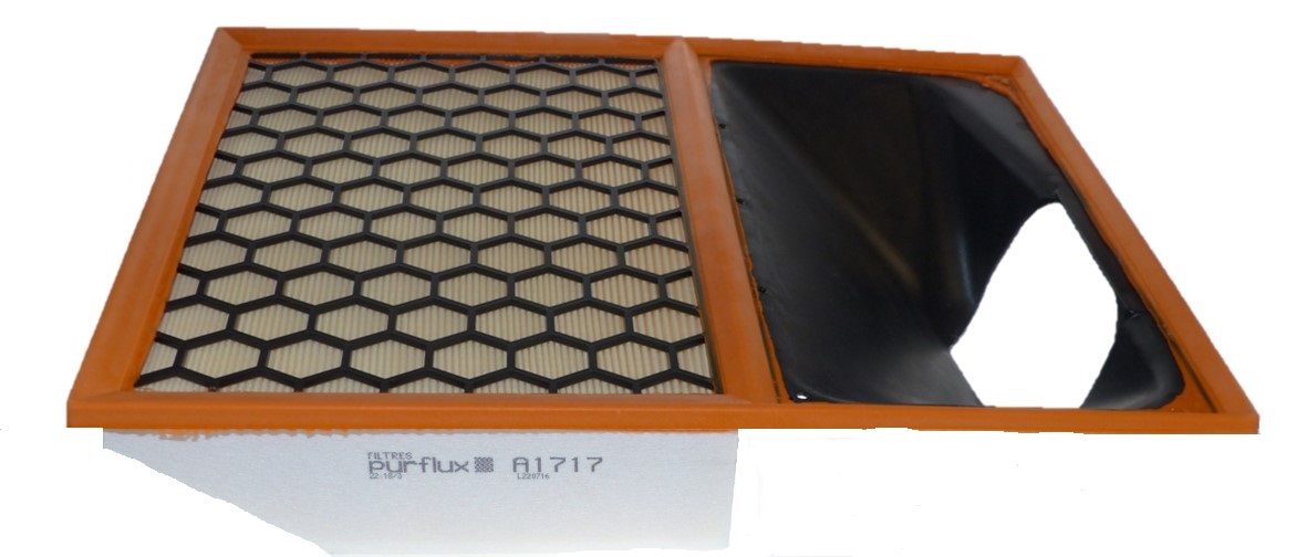 PURFLUX Luftfilter a1717 Filterindsats height_mm_209|Højde [mm]|75 length_mm_203|Længde [mm]|400 width_mm_206|Bredde [mm]|318 75mm for IVECO