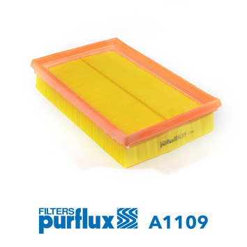 PURFLUX Luftfilter a1109 Filterindsats height_mm_209|Højde [mm]|38 length_mm_203|Længde [mm]|250 width_mm_206|Bredde [mm]|150 38mm for GENERAL MOTORS