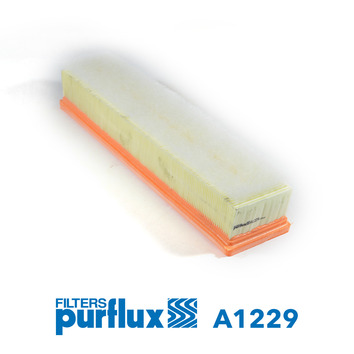 PURFLUX Luftfilter a1229 Filterindsats height_mm_209|Højde [mm]|58 length_mm_203|Længde [mm]|376 width_mm_206|Bredde [mm]|83 58mm for NISSAN DACIA RE