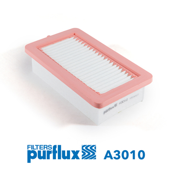 PURFLUX Luftfilter a3010 Filterindsats height_mm_209|Højde [mm]|53 length_mm_203|Længde [mm]|226 width_mm_206|Bredde [mm]|129 53mm for MITSUBISHI REN