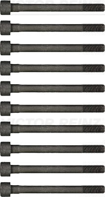 VICTOR REINZ topbolte-sæt 145501001 for NISSAN