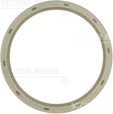 VICTOR REINZ 811013700 141,2mm for FORD