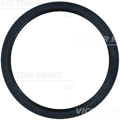 VICTOR REINZ 813159600 for DAF