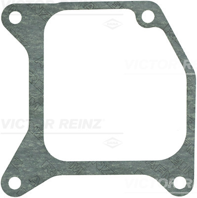 VICTOR REINZ 713713900 for DAF