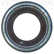 VICTOR REINZ 702398200 for FORD