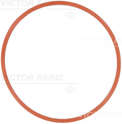 VICTOR REINZ Pakning, indsugningsmanifold 712433500 for BMW