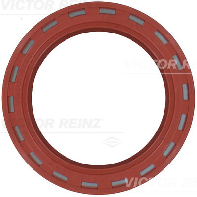 VICTOR REINZ Pakdåse, knastaksel 812490910 for OPEL VAUXHALL SAAB CHRYSLER CHEVROLET LANCIA GENERAL MOTORS ISUZU