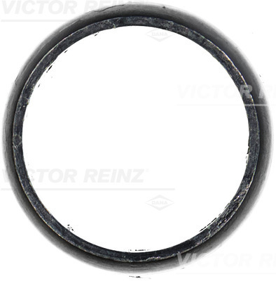VICTOR REINZ 712052000 for TOYOTA