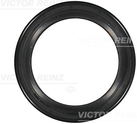 VICTOR REINZ Pakdåse, krumtapaksel 811049900 for SSANGYONG