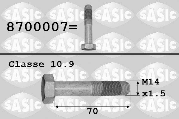 SASIC Remskiveskrue 8700007 for DS