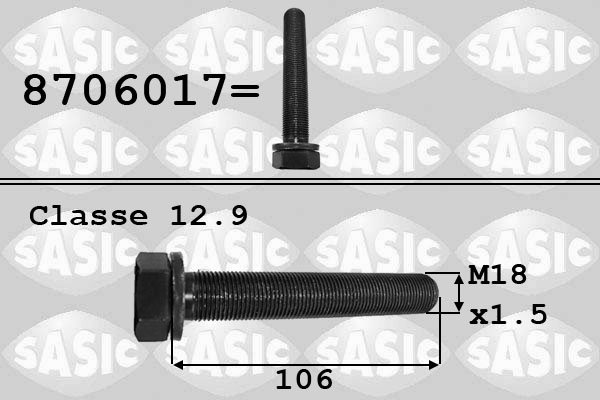 SASIC Remskiveskrue 8706017 for VW