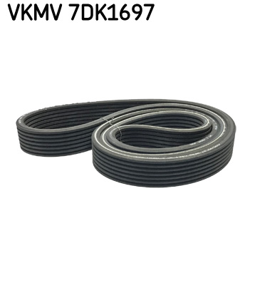 SKF Kilerem vkmv7dk1697 for BMW