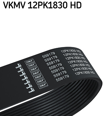 SKF vkmv12pk1830hd for IVECO