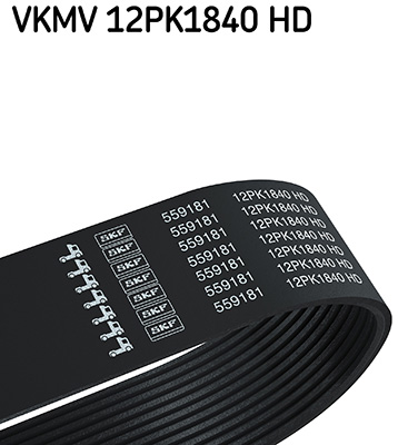 SKF vkmv12pk1840hd for IVECO