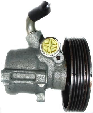 SPIDAN Hydraulikpumpe, styresystem 53675 for CITROËN/PEUGEOT PEUGEOT