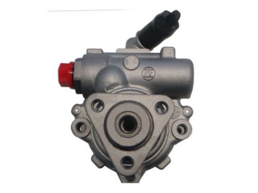 SPIDAN Hydraulikpumpe, styresystem 53756 for BMW