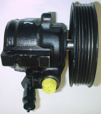 SPIDAN Hydraulikpumpe, styresystem 53846 for FORD