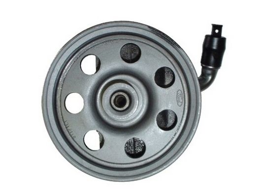 SPIDAN Hydraulikpumpe, styresystem 53732 for FORD