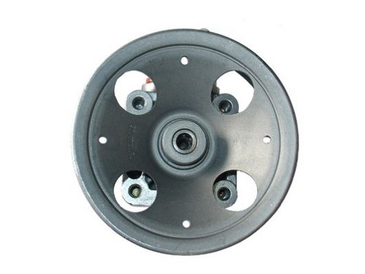 SPIDAN Hydraulikpumpe, styresystem 54066 for VOLVO