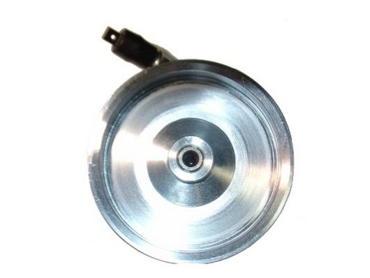 SPIDAN Hydraulikpumpe, styresystem 54139 for FORD