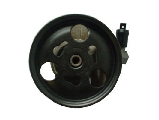 SPIDAN Hydraulikpumpe, styresystem 53979 for FORD