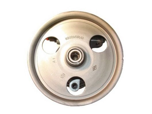 SPIDAN Hydraulikpumpe, styresystem 54172 for RENAULT DACIA
