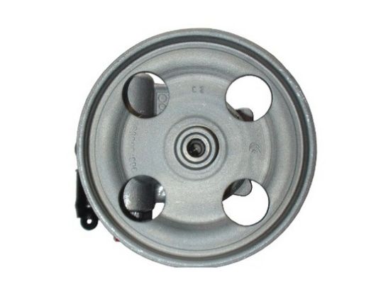 SPIDAN Hydraulikpumpe, styresystem 54181 for CITROËN/PEUGEOT SUZUKI