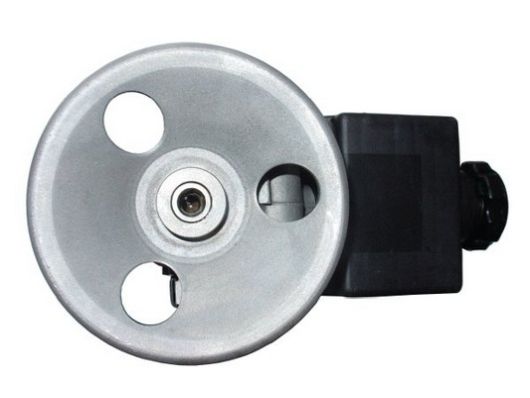 SPIDAN Hydraulikpumpe, styresystem 52609 for SSANGYONG