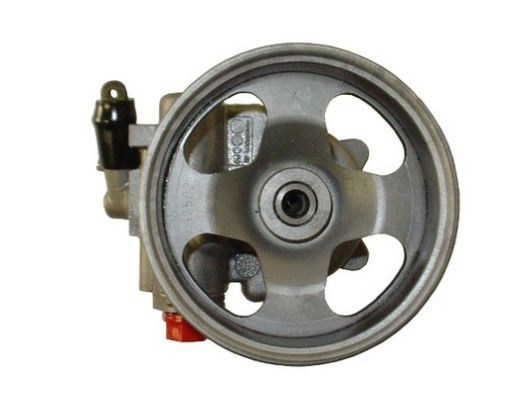 SPIDAN Hydraulikpumpe, styresystem 54296 for CITROËN/PEUGEOT
