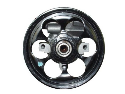 SPIDAN Hydraulikpumpe, styresystem 54302 for RENAULT