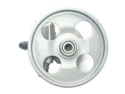 SPIDAN Hydraulikpumpe, styresystem 54304 for CITROËN/PEUGEOT