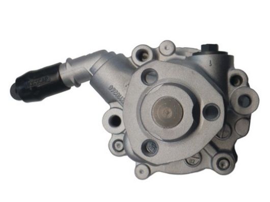 SPIDAN Hydraulikpumpe, styresystem 54354 for VW