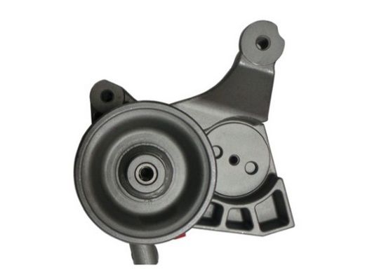 SPIDAN Hydraulikpumpe, styresystem 54363 for IVECO