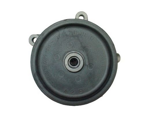 SPIDAN Hydraulikpumpe, styresystem 54394 for MERCEDES-BENZ