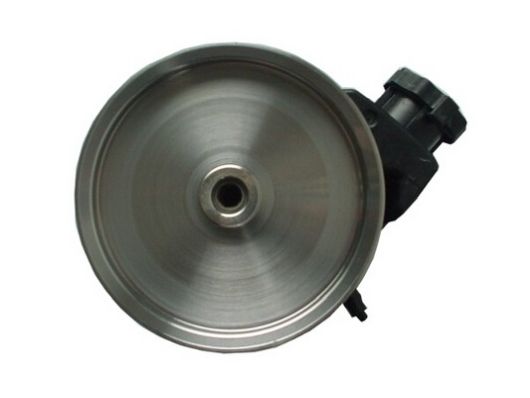 SPIDAN Hydraulikpumpe, styresystem 54399 for MERCEDES-BENZ