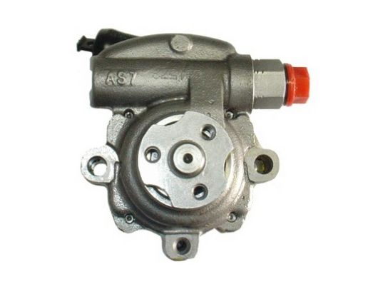 SPIDAN Hydraulikpumpe, styresystem 54404 for JAGUAR