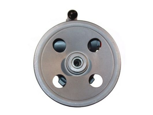 SPIDAN Hydraulikpumpe, styresystem 54416 for MERCEDES-BENZ