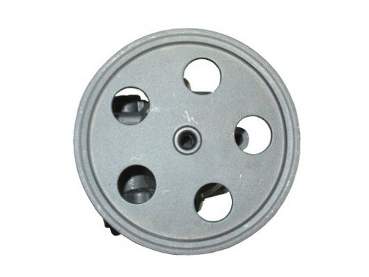 SPIDAN Hydraulikpumpe, styresystem 54441 for AUDI