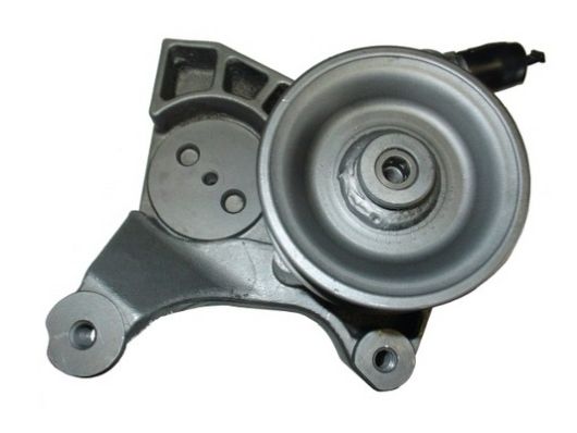 SPIDAN Hydraulikpumpe, styresystem 54448 for FIAT