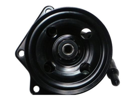 SPIDAN Hydraulikpumpe, styresystem 54642 for LAND ROVER