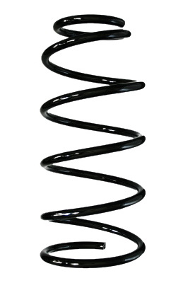 SPIDAN Fjeder 85991 foraksel for NISSAN
