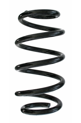 SPIDAN Fjeder 87309 bagaksel for MERCEDES-BENZ