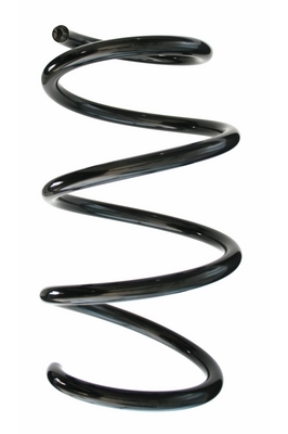 SPIDAN Fjeder 87429 foraksel for MERCEDES-BENZ