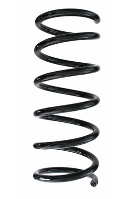 SPIDAN Fjeder 87533 bagaksel for VOLVO