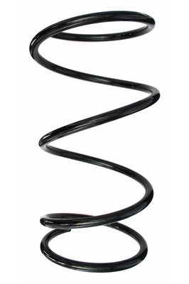 SPIDAN Fjeder 87576 foraksel for TOYOTA