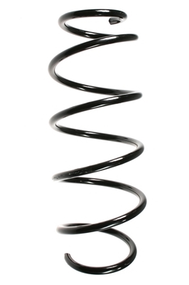 SPIDAN Fjeder 49629 foraksel for FORD