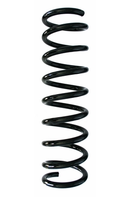 SPIDAN Fjeder 87653 bagaksel for FORD