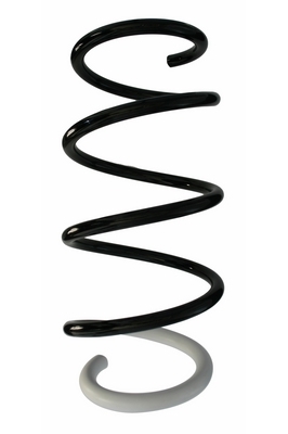 SPIDAN Fjeder 87724 foraksel for RENAULT
