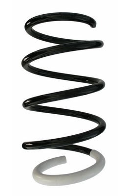 SPIDAN Fjeder 87725 foraksel for RENAULT