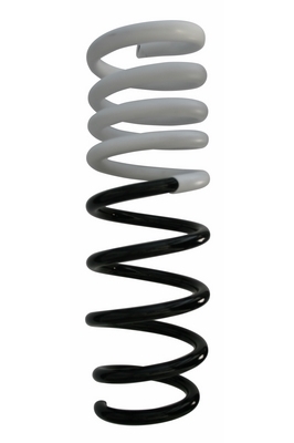 SPIDAN Fjeder 87749 bagaksel for BMW